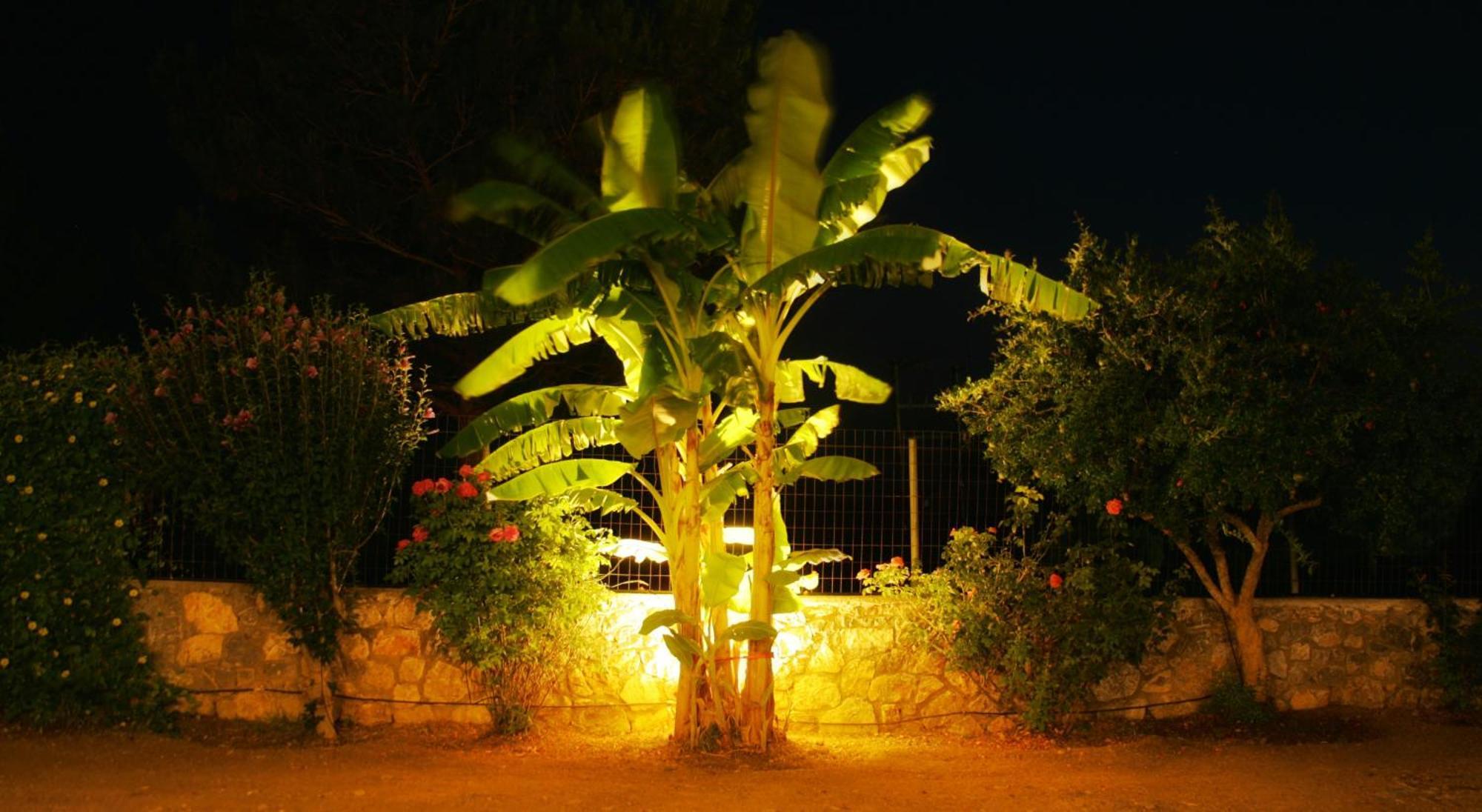Dora'S House Villa Istrios Exteriör bild
